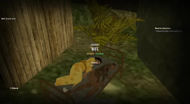 Sleeping beside a companion
