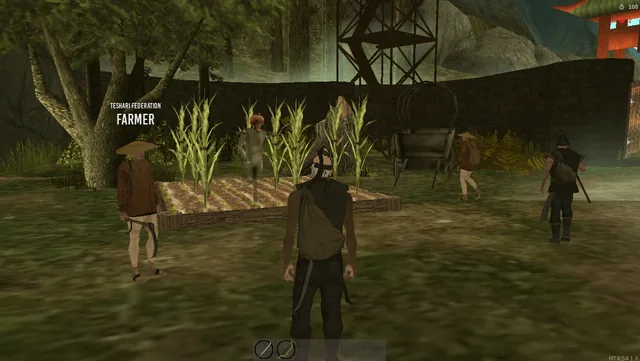 A Teshari Federation farmer beside a field of corn